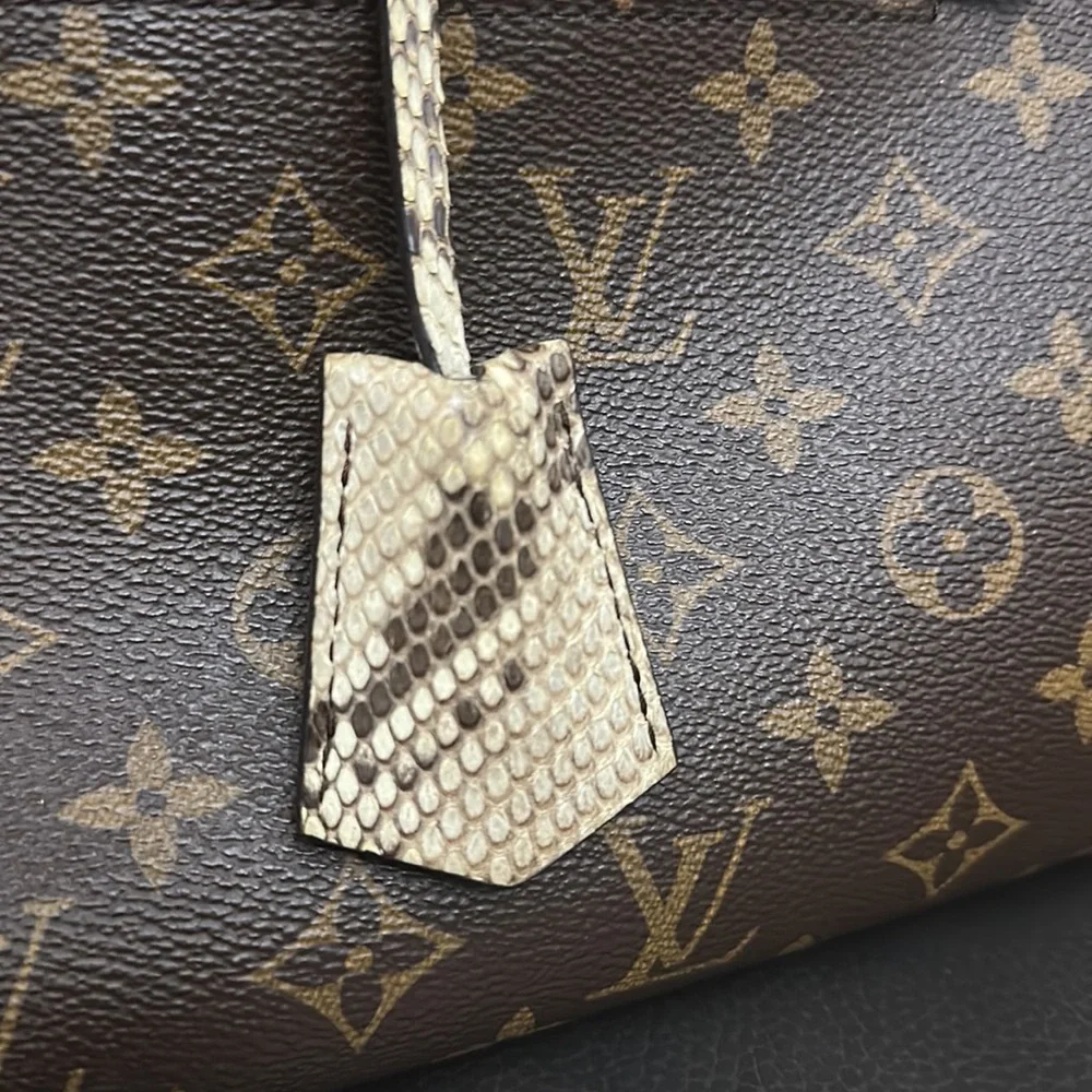 Rare Louis Python Bag - Picture 3 of 12